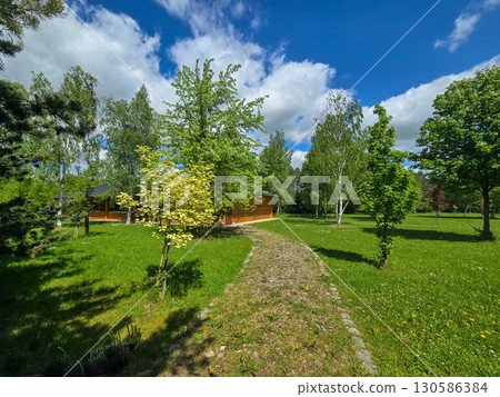 Spring Contrast: Forest and Park Edge Spring Contrast: Forest and Park Edge 130586384