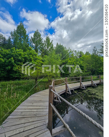 Wooden Walkway by the Forest Pond 130586410