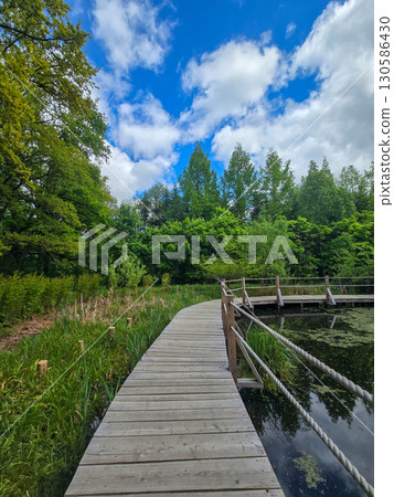 Wooden Walkway by the Forest Pond 130586430