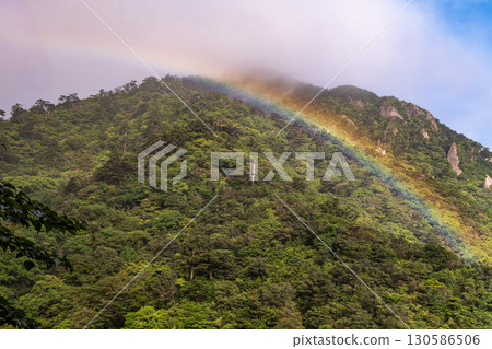 Rainbow and fresh greenery, Shiratani Unsuikyo Gorge, Yakushima (Spring) Rainbow and fresh greenery, Shiratani Unsuikyo Gorge, Yakushima (Spring) 130586506