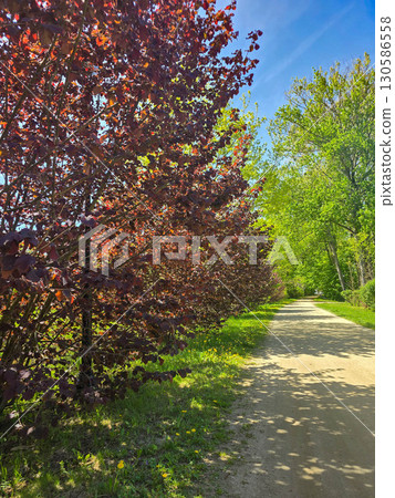 Scenic View of a City Park in Spring Scenic View of a City Park in Spring 130586558