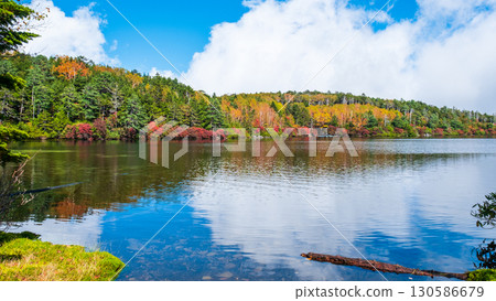 秋天的白駒池 130586679