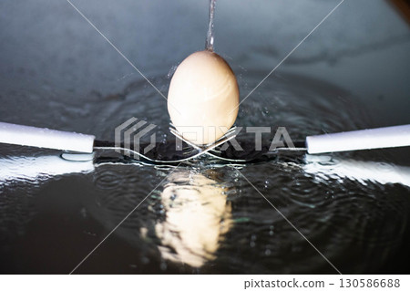 Fresh Brown Eggs on Rustic Wooden Table Natural Farmhouse Style 130586688
