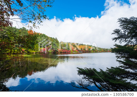 秋天的白駒池 秋天的白駒池 130586700