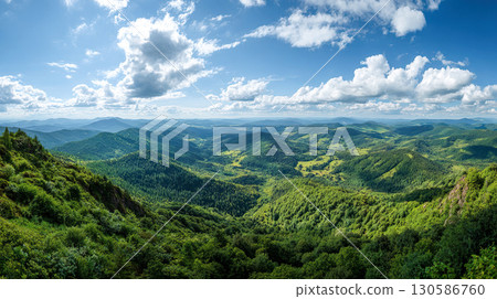 夏季山脈美麗的綠色風景 130586760