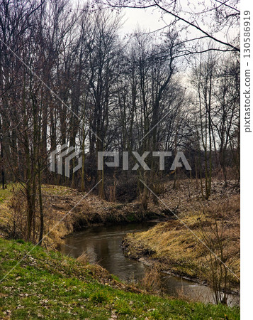 Serene River Flowing Through a Park, Reflecting Trees and Sky Serene River Flowing Through a Park, Reflecting Trees and Sky 130586919