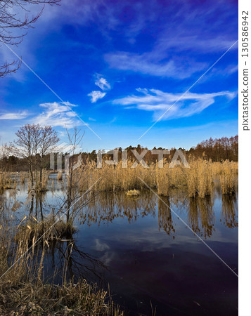 Tranquil Lake Landscape with Golden Reeds and Deep Blue Sky Tranquil Lake Landscape with Golden Reeds and Deep Blue Sky 130586942