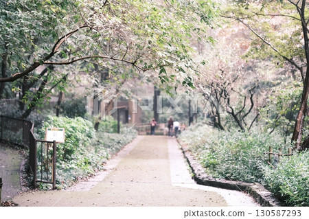 urban park scenery urban park scenery 130587293