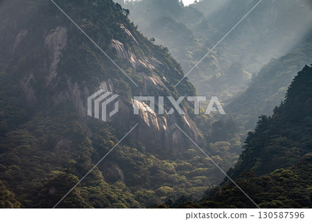 宛如水墨畫一般的世界遺產屋久島的斜光藝術(春) 宛如水墨畫一般的世界遺產屋久島的斜光藝術(春) 130587596