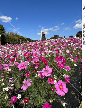 宇宙和風車 130587673