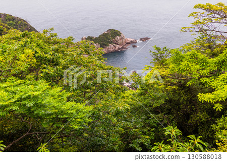 Spring scenery of Yakushima World Natural Heritage site, dazzling sea and coastline with fresh greenery Spring scenery of Yakushima World Natural Heritage site, dazzling sea and coastline with fresh greenery 130588018