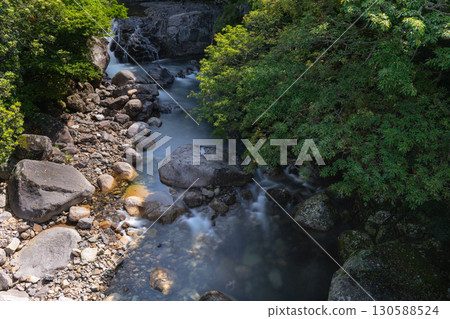 Fresh greenery in the Sekirigawa Valley, Yakushima, a World Natural Heritage Site 130588524