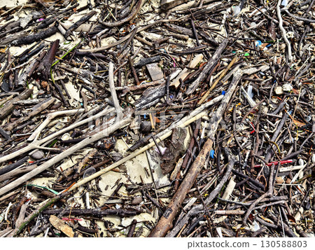 A beach heavily littered with wood and plastic A beach heavily littered with wood and plastic 130588803
