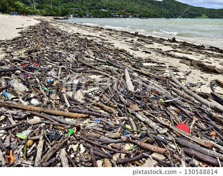 A beach heavily littered with wood and plastic A beach heavily littered with wood and plastic 130588814