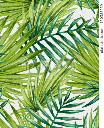 vibrant tropical palm leaves in various shades of green on a white background 130588969