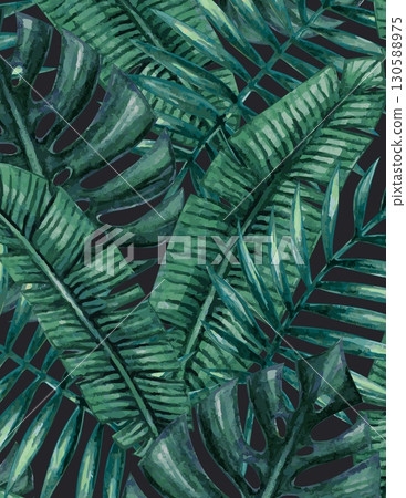dense tropical jungle foliage with various green leafy plants and palm leaves 130588975