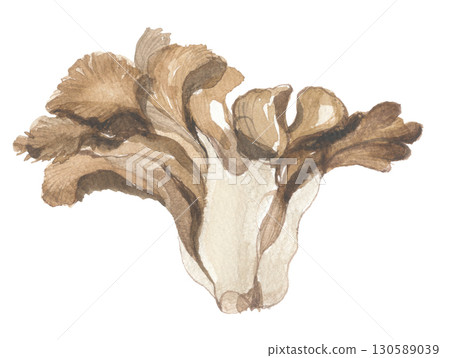 水彩畫舞茸 130589039