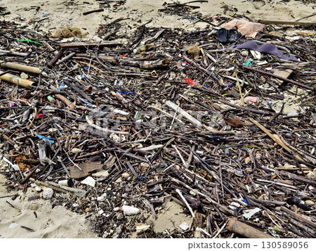 A beach heavily littered with wood and plastic A beach heavily littered with wood and plastic 130589056