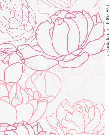 delicate pink floral line art illustration of blooming roses for design 130589491
