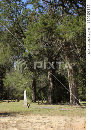 Historic Headstone at Knoxville Cemetery located outside Troup, TX Historic Headstone at Knoxville Cemetery located outside Troup, TX 130589535