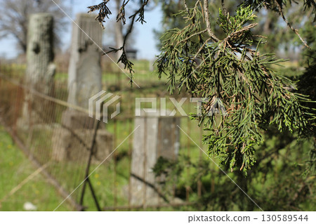 Historic Pleasant Hill Cemetery near Bullard, TX 130589544