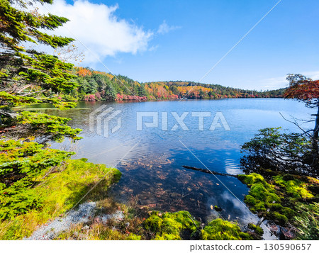 秋天的白駒池 130590657