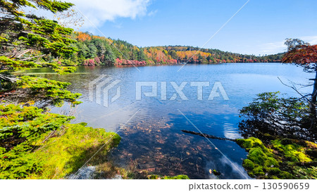 秋天的白駒池 130590659