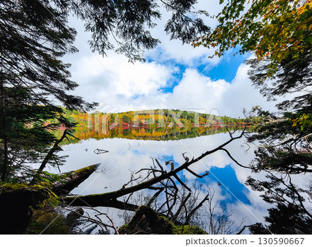 秋天的白駒池 130590667