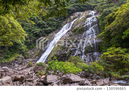 Spectacular Okawa Falls, one of Japan's 100 best waterfalls, Yakushima National Park (Summer) 130590865