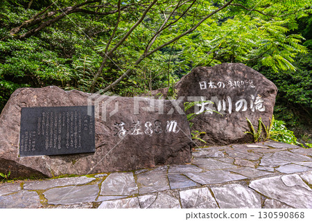 Okawa Falls, one of Japan's top 100 waterfalls, Yakushima National Park (Summer) 130590868