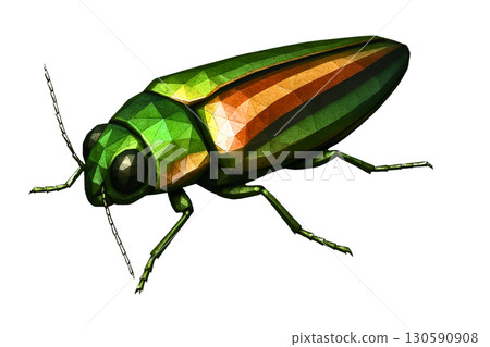 Japanese jewel beetle - an insect illustration that combines realism and polygons Japanese jewel beetle - an insect illustration that combines realism and polygons 130590908
