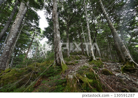 Climbing Mount Senjogatake, Yamanashi Prefecture 130591287