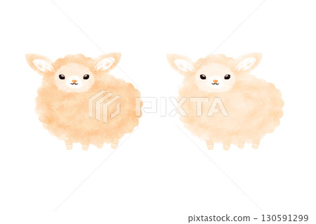 A sheep 130591299