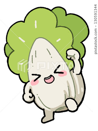 Chinese cabbage 130591344
