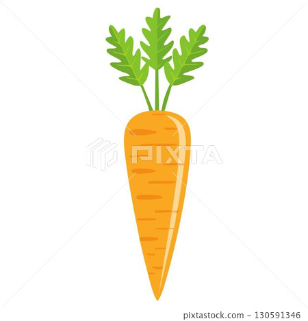 簡單的胡蘿蔔插畫 130591346