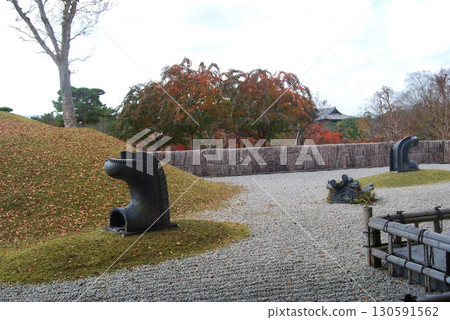 春日野國際論壇花園的紅葉 春日野國際論壇花園的紅葉 130591562