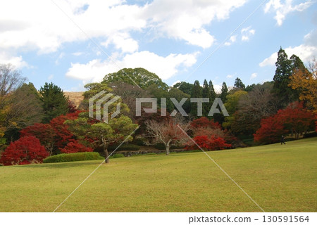 春日野國際論壇花園的紅葉 春日野國際論壇花園的紅葉 130591564