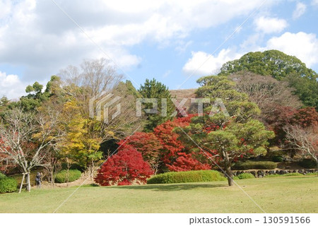 春日野國際論壇花園的紅葉 130591566