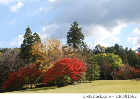 春日野國際論壇花園的紅葉 130591568