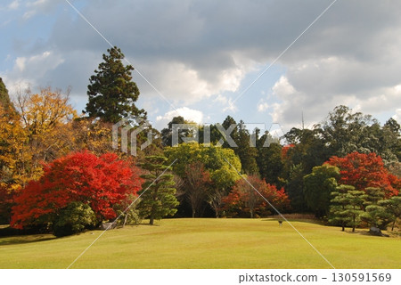 春日野國際論壇花園的紅葉 春日野國際論壇花園的紅葉 130591569