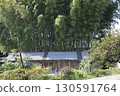 里山竹林殘跡 130591764