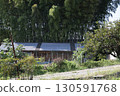里山竹林殘跡 130591768