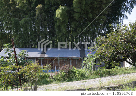 里山竹林殘跡 130591768