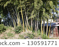 里山竹林殘跡 130591771
