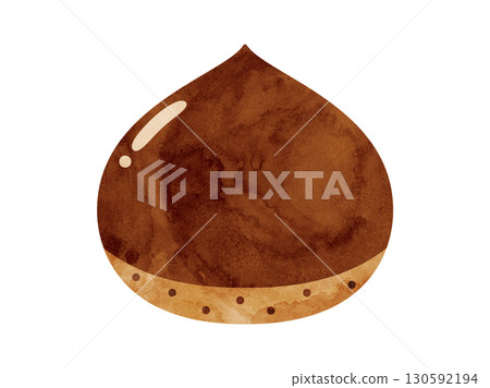 栗子插畫水彩版 栗子插畫水彩版 130592194