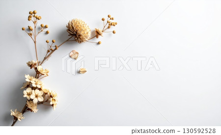 Dried Flowers on White Background 130592528
