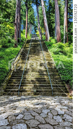 通往神社的石階被杉樹環繞 通往神社的石階被杉樹環繞 130592720