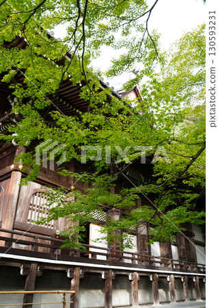 Kyoto temples covered in greenery 130593231