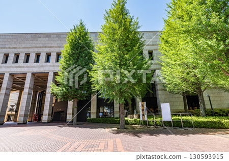 晴天的栃木縣宇都宮市栃木縣綜合文化中心 130593915