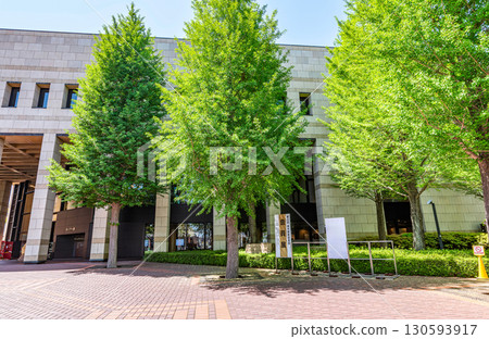 晴天的栃木縣宇都宮市栃木縣綜合文化中心 晴天的栃木縣宇都宮市栃木縣綜合文化中心 130593917